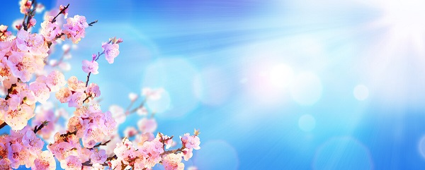 戰(zhàn)疫情，北京韋林公司全體員工齊心協(xié)力共克時艱！
