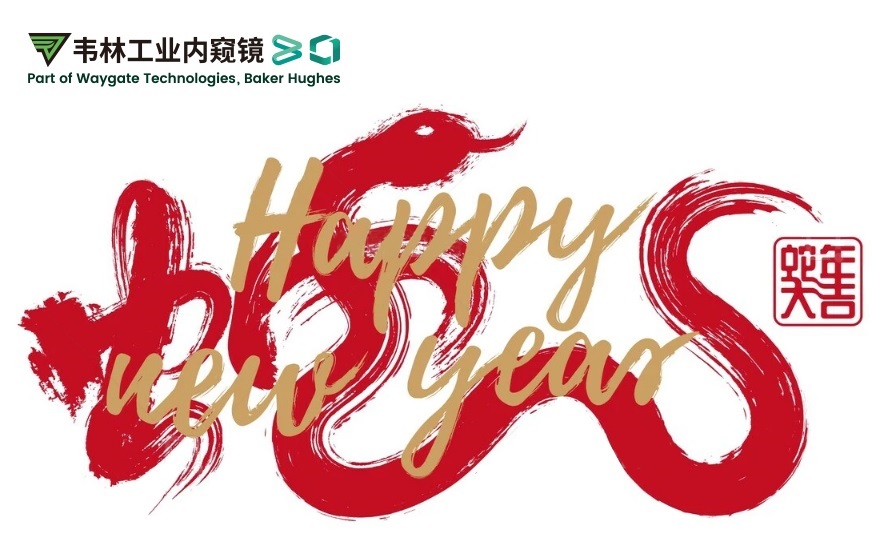 韋林公司祝您：蛇年大吉,福滿(mǎn)乾坤！